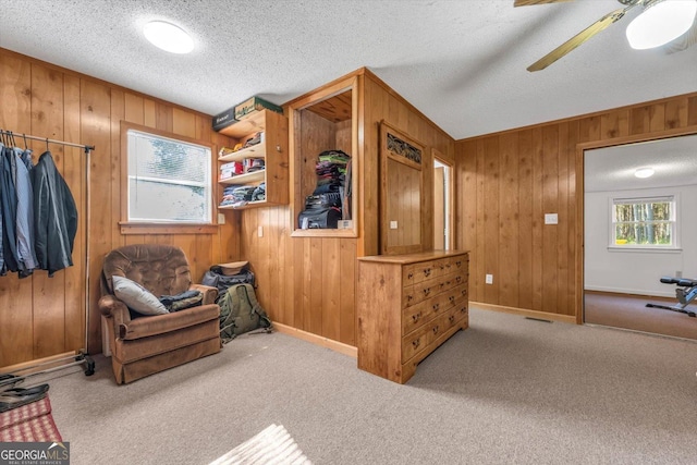 446 Thornton Rd, Washington, GA 30673 - living area featuring wooden walls, carpet, a ceiling fan, and a textured ceiling