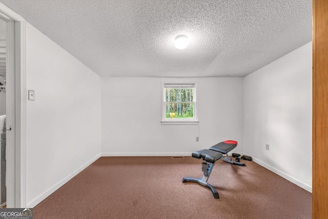 446 Thornton Rd, Washington, GA 30673 - workout room featuring a textured ceiling and carpet floors