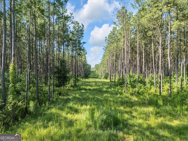 446 Thornton Rd, Washington, GA 30673 - view of tree filled area