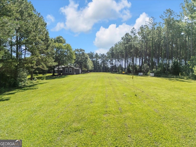 446 Thornton Rd, Washington, GA 30673 - view of grassy yard