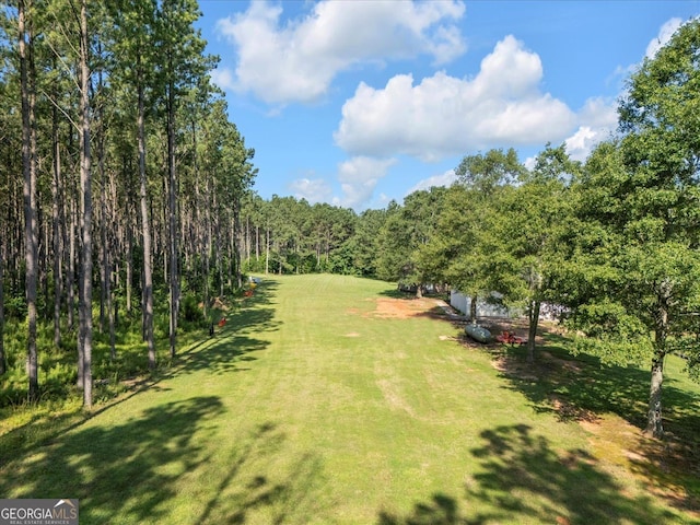 446 Thornton Rd, Washington, GA 30673 - view of green lawn with a forest view