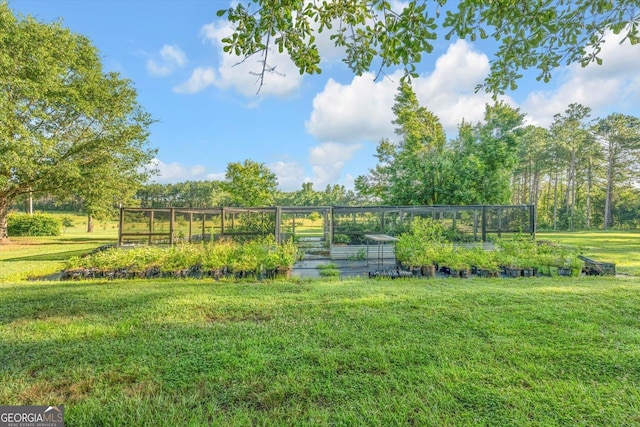 446 Thornton Rd, Washington, GA 30673 - view of green lawn