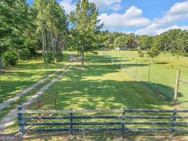 446 Thornton Rd, Washington, GA 30673 - view of yard