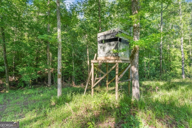 446 Thornton Rd, Washington, GA 30673 - view of outbuilding