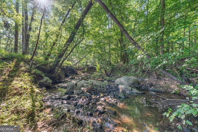 446 Thornton Rd, Washington, GA 30673 - view of wooded area