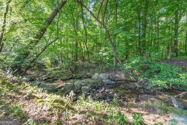 446 Thornton Rd, Washington, GA 30673 - view of tree filled area