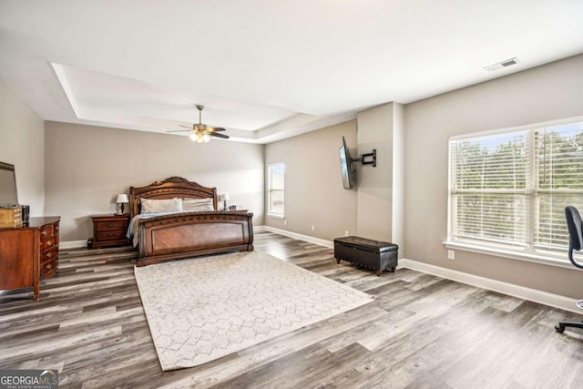 2755 Evan Manor Ln, Cumming, GA 30041 - bedroom with wood finished floors and a tray ceiling