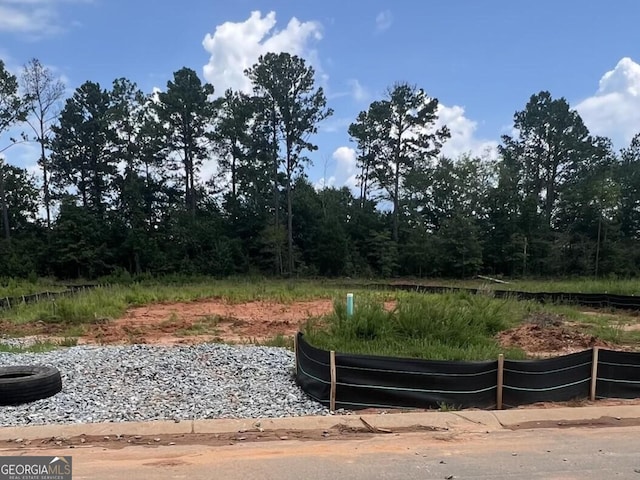 316 Cody Dr, Macon, GA 31216 - view of yard