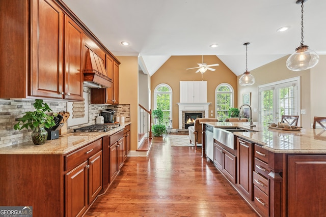 106 April Walk, Mcdonough, GA 30253 - kitchen with ceiling fan, appliances with stainless steel finishes, healthy amount of natural light, wood finished floors, and vaulted ceiling