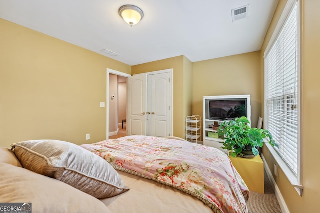 106 April Walk, Mcdonough, GA 30253 - bedroom with carpet and a closet