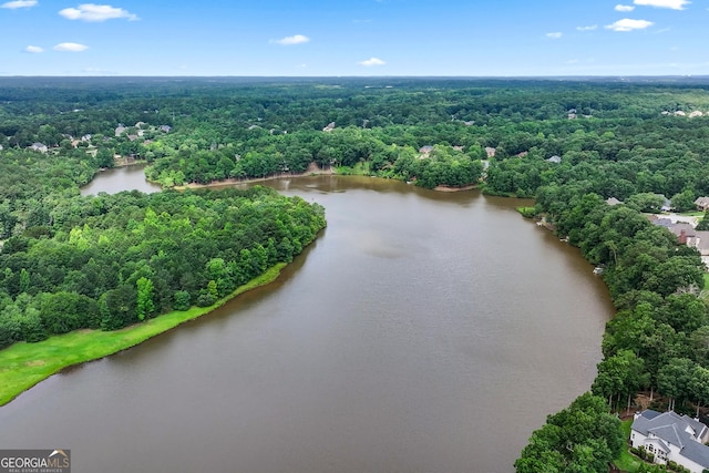 106 April Walk, Mcdonough, GA 30253 - drone / aerial view of a heavily wooded area and a nearby body of water
