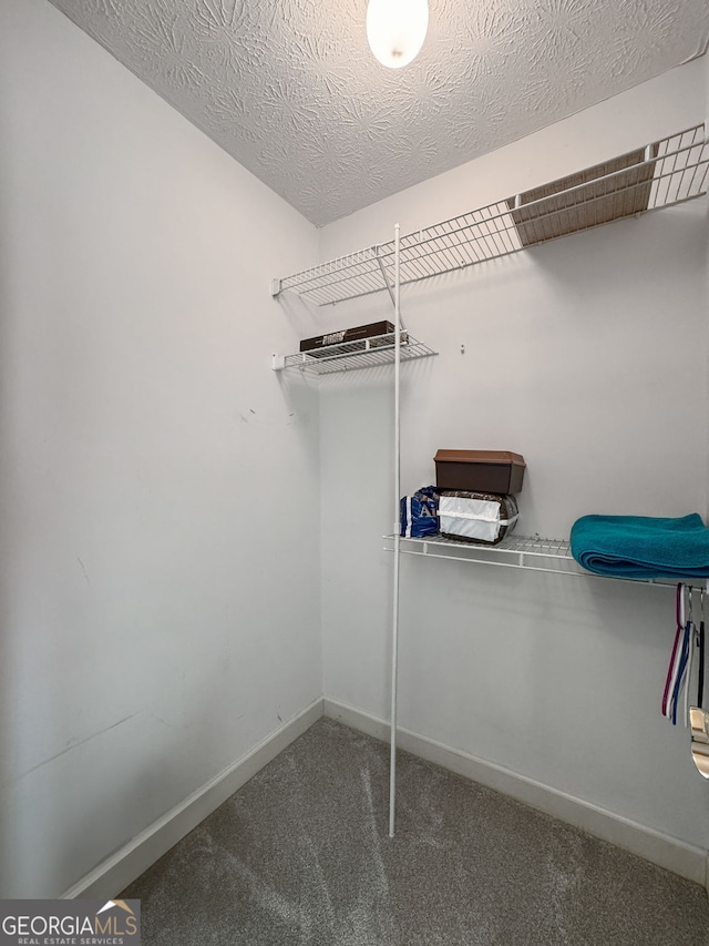 150 Tramore Trce, Tyrone, GA 30290 - spacious closet with carpet floors
