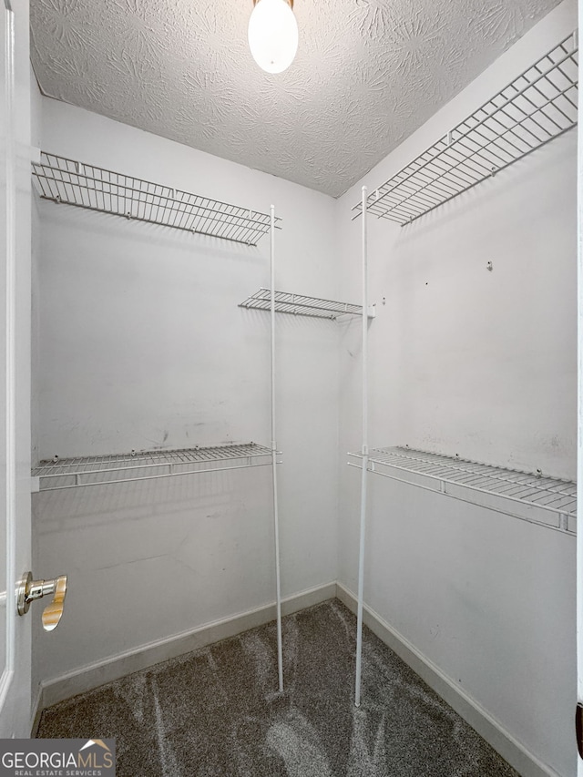 150 Tramore Trce, Tyrone, GA 30290 - spacious closet with carpet