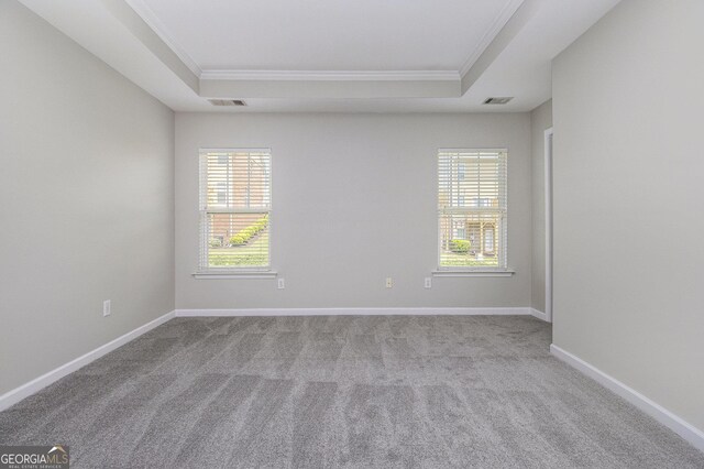 801 Tulip Poplar Way Unit 2501, Lawrenceville, GA 30044 - empty room with crown molding, carpet, a raised ceiling, and healthy amount of natural light