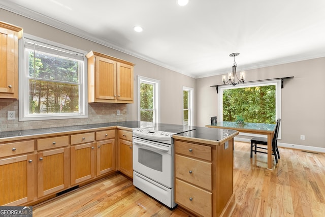 379 Sweetwater Rdg, Hoschton, GA 30548 - kitchen featuring white range with electric stovetop, a peninsula, tasteful backsplash, a chandelier, and light wood finished floors