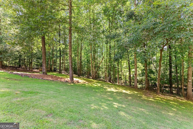 379 Sweetwater Rdg, Hoschton, GA 30548 - view of green lawn with a wooded view