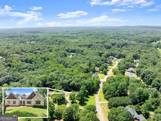 379 Sweetwater Rdg, Hoschton, GA 30548 - view from above of property with a forest and property boundaries highlighted