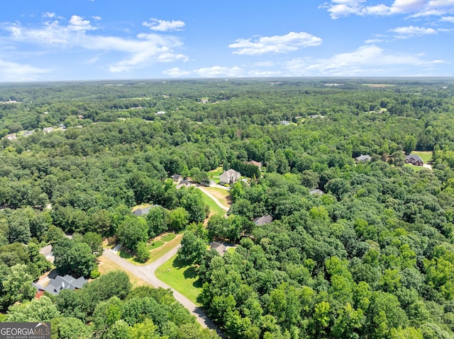 379 Sweetwater Rdg, Hoschton, GA 30548 - drone / aerial view of a forest