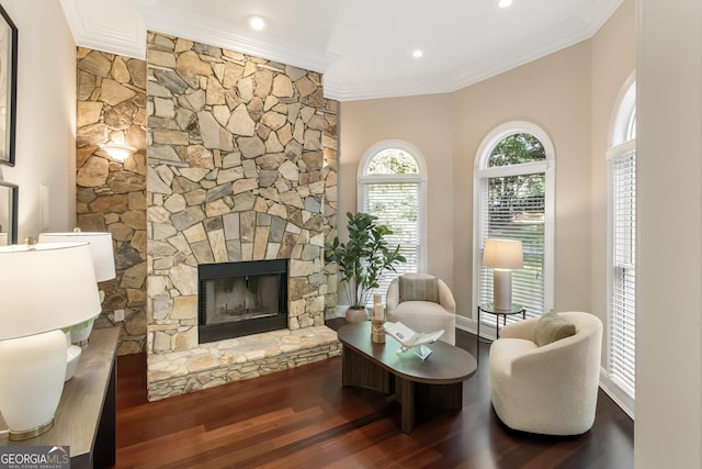 110 Wellington Way, Canton, GA 30115 - living area with crown molding, a stone fireplace, and wood finished floors