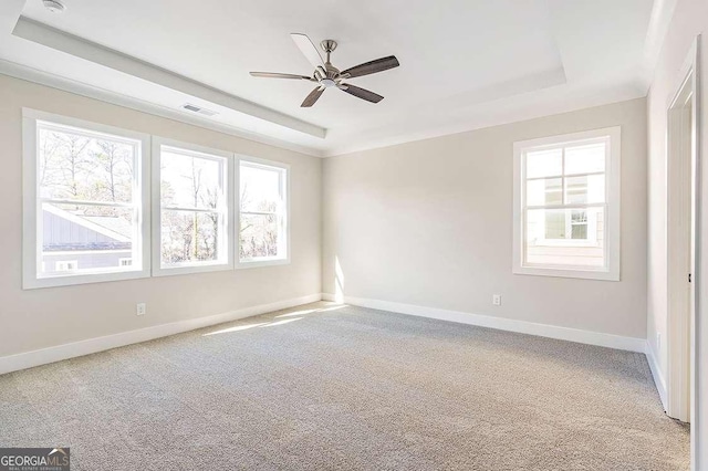 148 Palm St, Holly Springs, GA 30115 - empty room featuring a tray ceiling, healthy amount of natural light, and carpet flooring