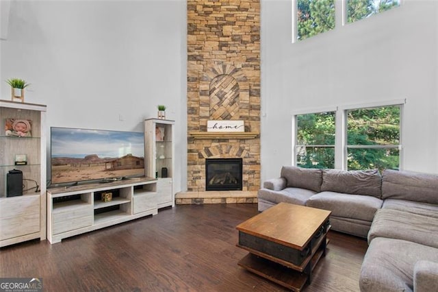 109 Hale View Cir, Canton, GA 30114 - living room featuring a high ceiling, a stone fireplace, and wood finished floors