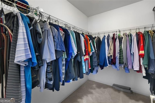 109 Hale View Cir, Canton, GA 30114 - walk in closet with carpet floors
