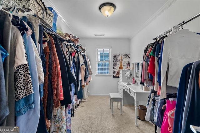 109 Hale View Cir, Canton, GA 30114 - spacious closet featuring carpet floors