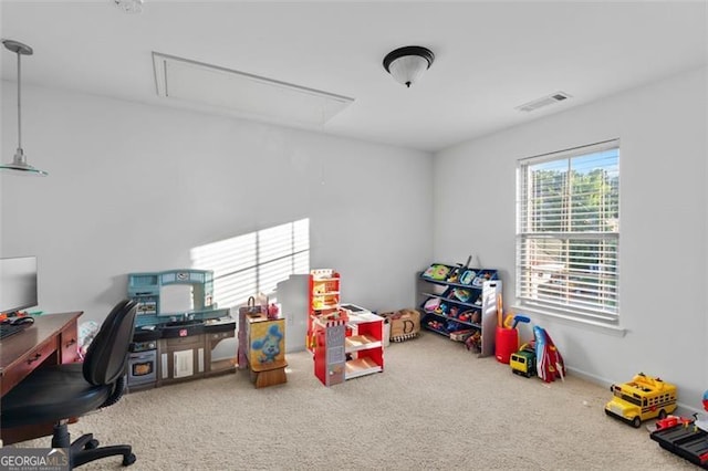 109 Hale View Cir, Canton, GA 30114 - playroom with attic access, carpet flooring, and an office area