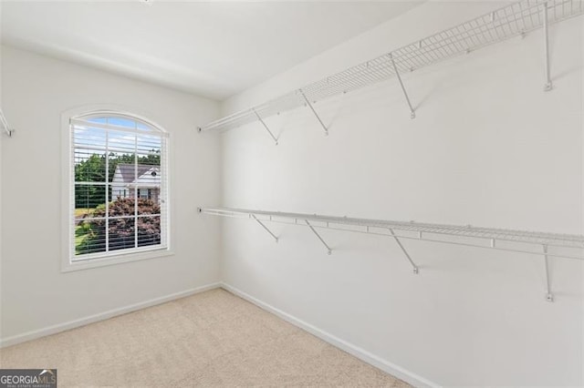 3366 Bridge Walk Dr, Lawrenceville, GA 30044 - walk in closet with carpet floors