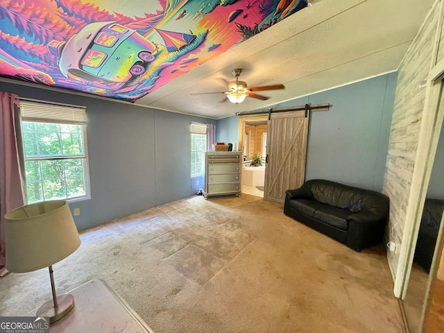 906 Billy Watts Cove Rd, Tiger, GA 30576 - unfurnished room with carpet floors, a ceiling fan, and a barn door