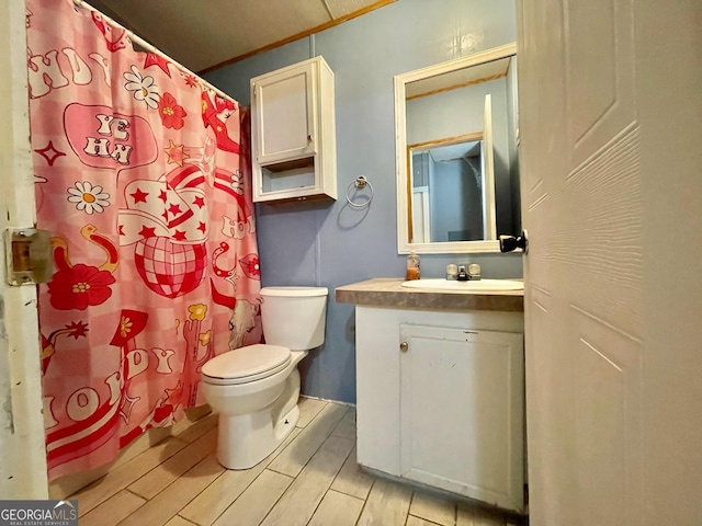 906 Billy Watts Cove Rd, Tiger, GA 30576 - bathroom featuring vanity, wood tiled floors, and curtained shower