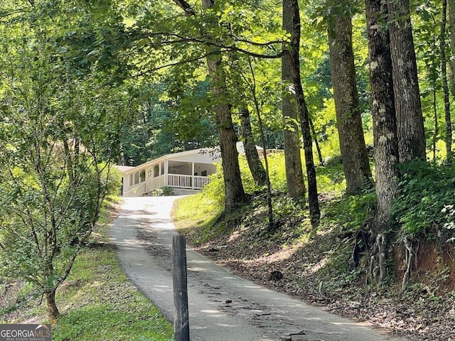 906 Billy Watts Cove Rd, Tiger, GA 30576 - view of front of property with driveway and a wooded view