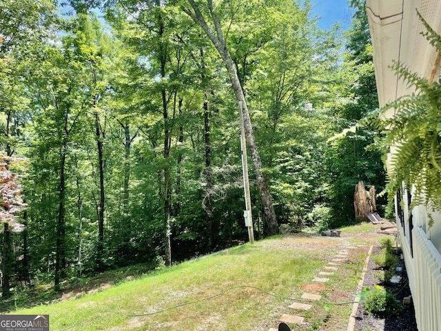 906 Billy Watts Cove Rd, Tiger, GA 30576 - view of yard