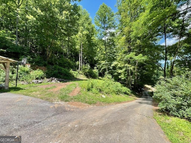 906 Billy Watts Cove Rd, Tiger, GA 30576 - view of asphalt road