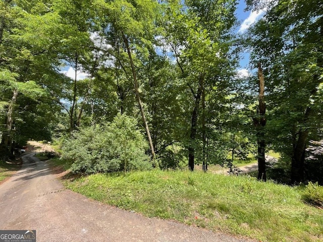 906 Billy Watts Cove Rd, Tiger, GA 30576 - view of asphalt street