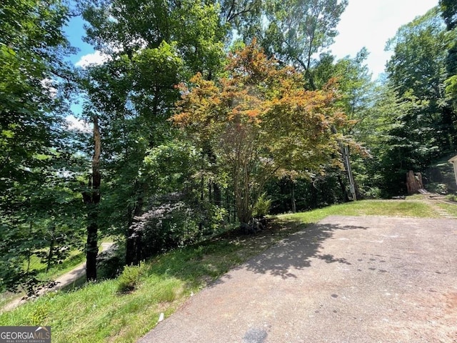 906 Billy Watts Cove Rd, Tiger, GA 30576 - view of yard