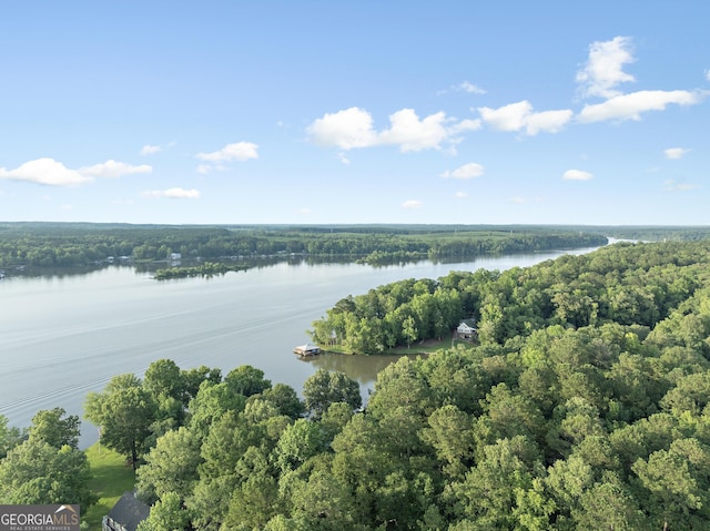 901 Jamesway Dr, Sparta, GA 31087 - aerial view of a nearby body of water
