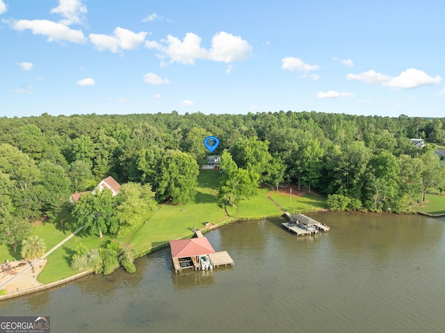 901 Jamesway Dr, Sparta, GA 31087 - bird's eye view of a nearby body of water and a forest