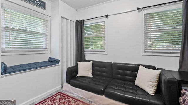 5599 Redan Cir, Stone Mountain, GA 30088 - living area featuring plenty of natural light and crown molding