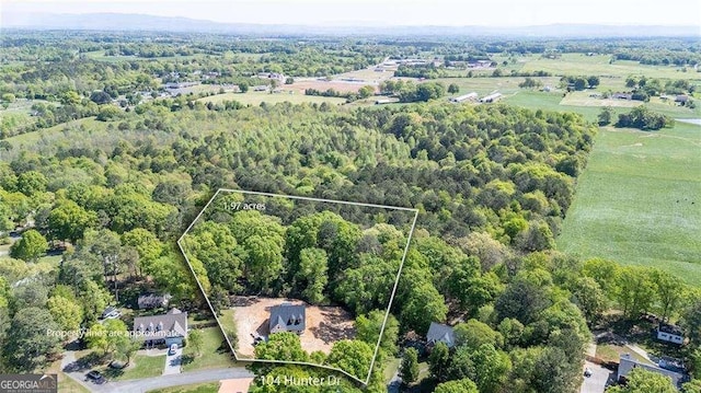 104 Hunter Dr NE, Calhoun, GA 30701 - view of property location with property boundaries highlighted and a forest