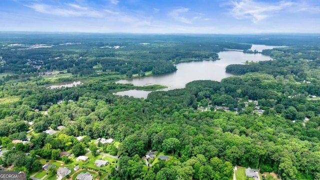 4212 Worth St NW, Acworth, GA 30101 - bird's eye view of a nearby body of water and a heavily wooded area