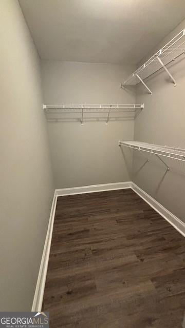 320 Cainbridge Mdws, Demorest, GA 30535 - spacious closet with dark wood-type flooring