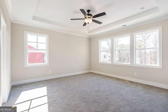 164 Palm St, Holly Springs, GA 30188 - empty room featuring a raised ceiling, carpet, and ceiling fan