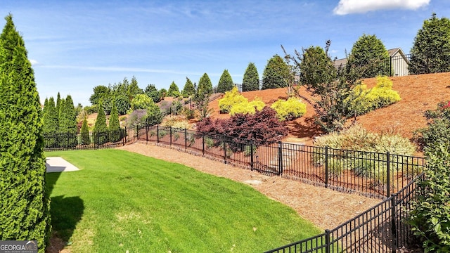 5640 Hammock Way, Cumming, GA 30028 - view of fenced backyard