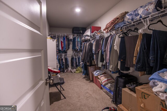 11 Rachel Ln, Hartwell, GA 30643 - walk in closet featuring carpet flooring