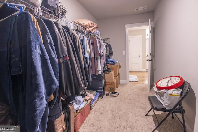 11 Rachel Ln, Hartwell, GA 30643 - spacious closet with carpet