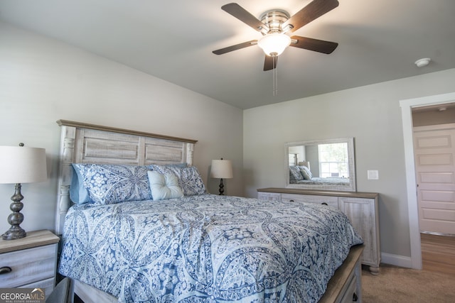 11 Rachel Ln, Hartwell, GA 30643 - bedroom with carpet and ceiling fan
