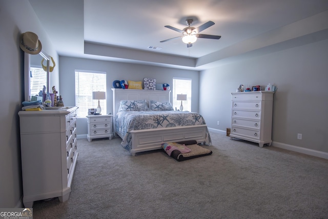11 Rachel Ln, Hartwell, GA 30643 - carpeted bedroom with a raised ceiling, multiple windows, and ceiling fan
