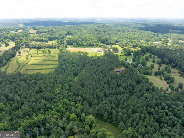 1791 Mcfarlin Bridge Rd, Carnesville, GA 30521