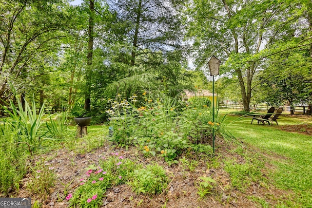 120 Fox Hunt Pl, Athens, GA 30606 - view of yard